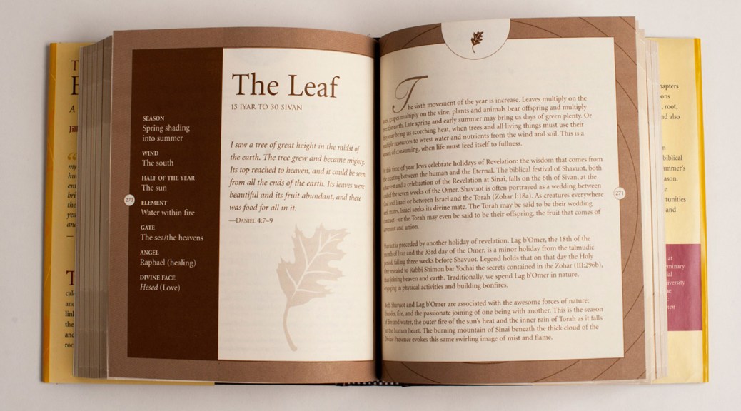 The Book of Days inside